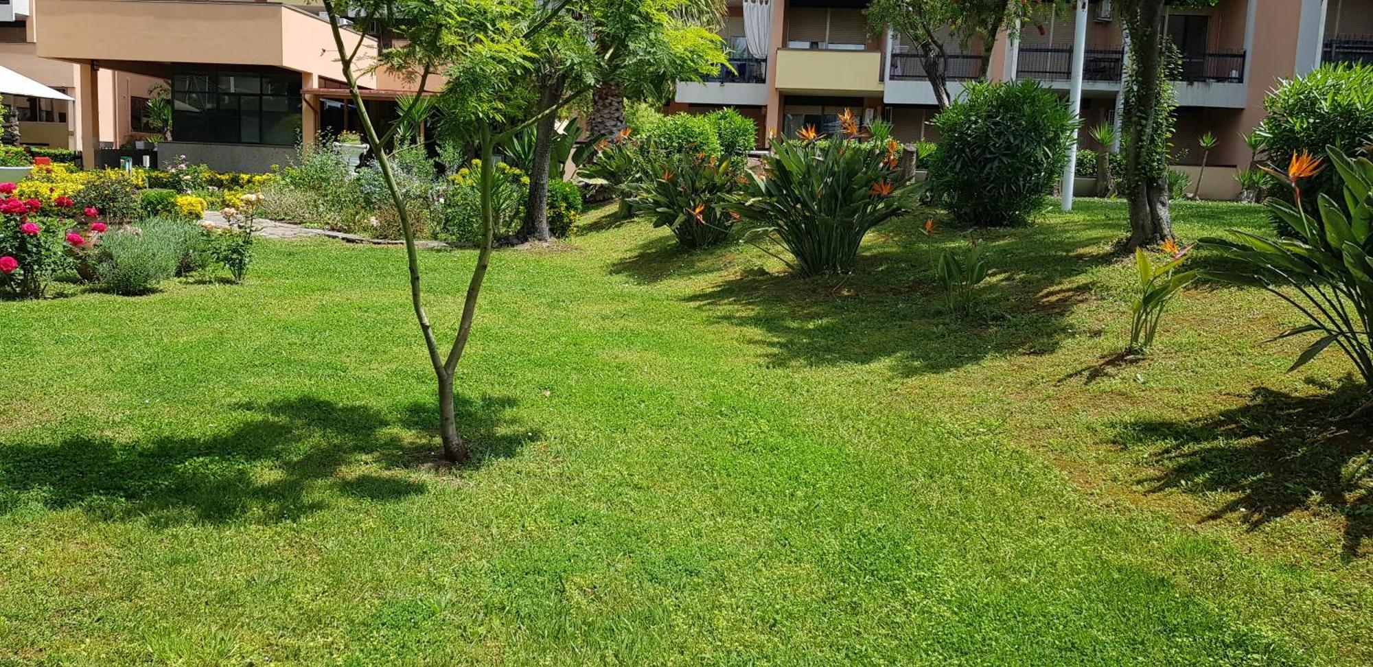 Green Oasis Рим Екстериор снимка