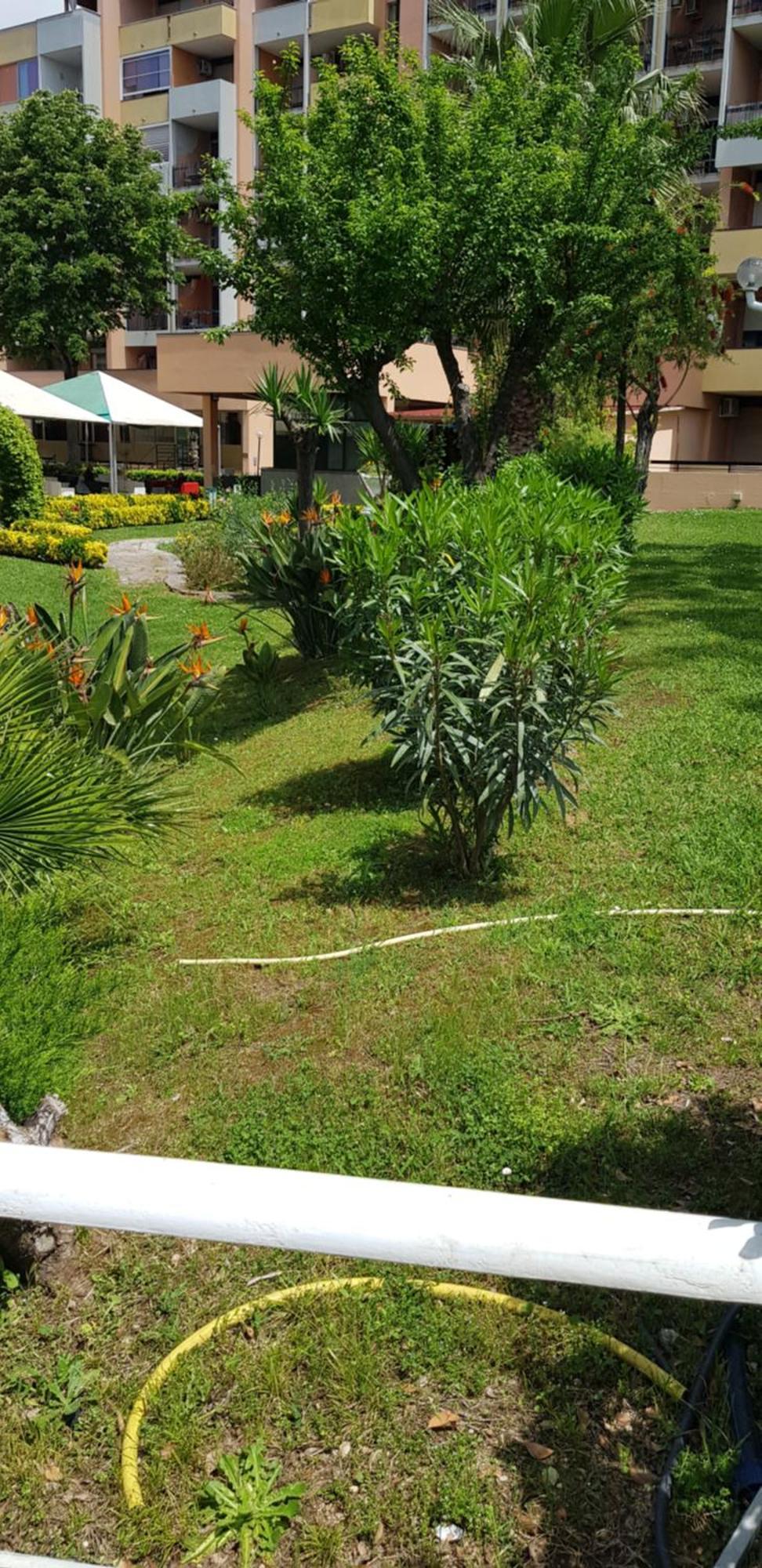 Green Oasis Рим Екстериор снимка
